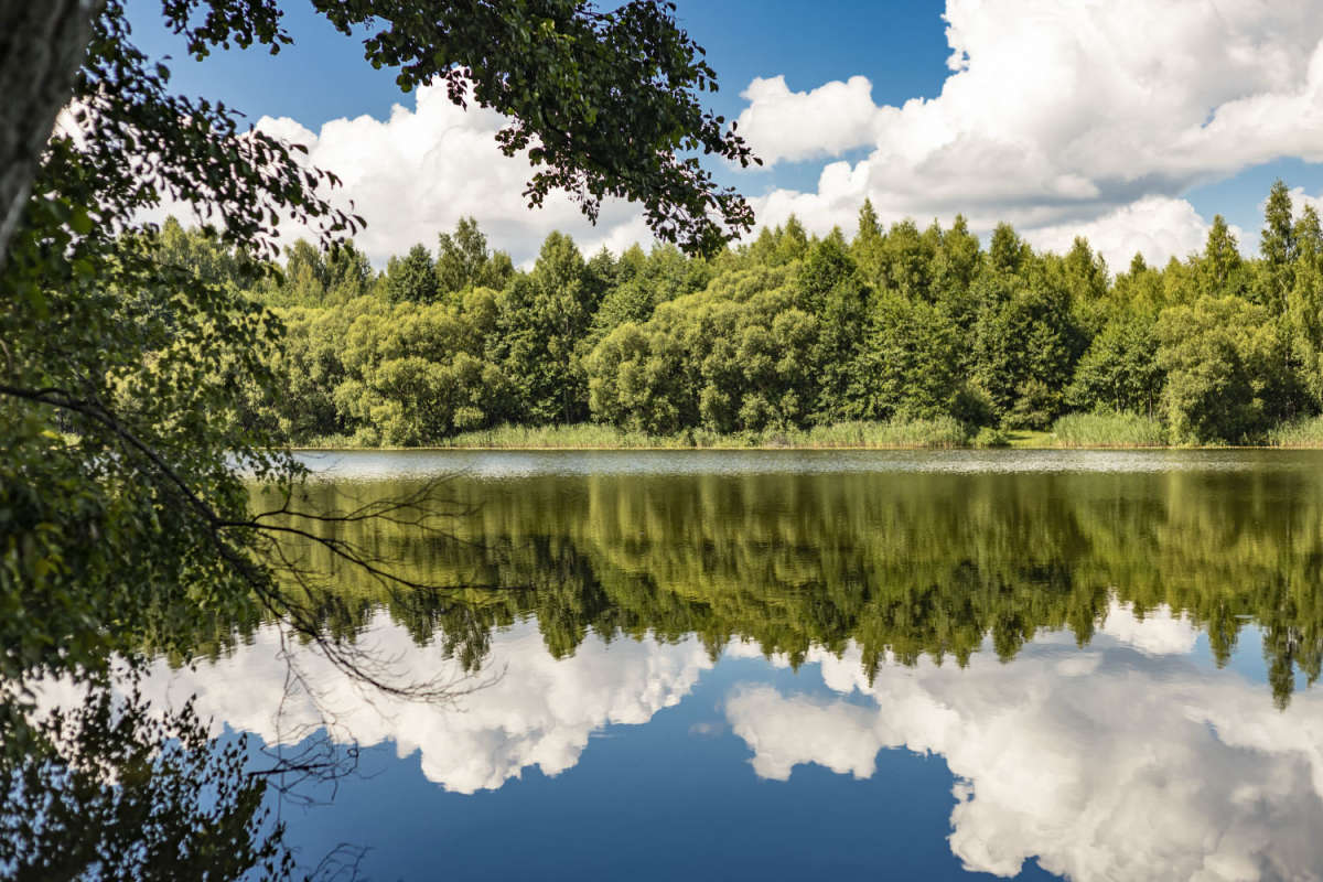 ��������� ����� ���������  �� PhotoGeek.ru #������ ��� �������