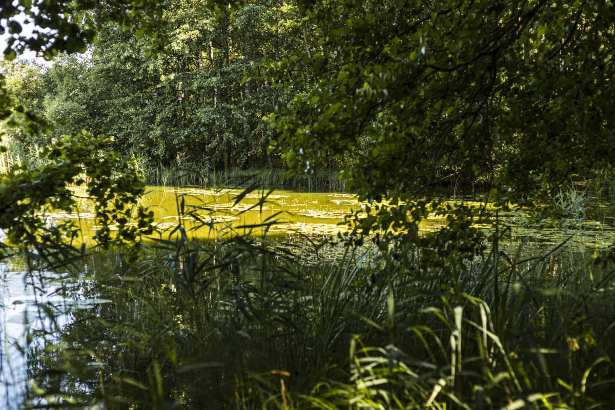 ����� ��������� ����� ���������  �� PhotoGeek.ru #������ ��� �������