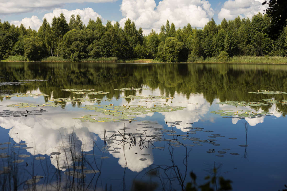 � ���������� ����� ���������  �� PhotoGeek.ru #������ ��� �������