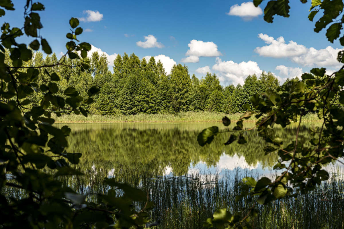 ��������� ����� ���������  �� PhotoGeek.ru #������ ��� �������