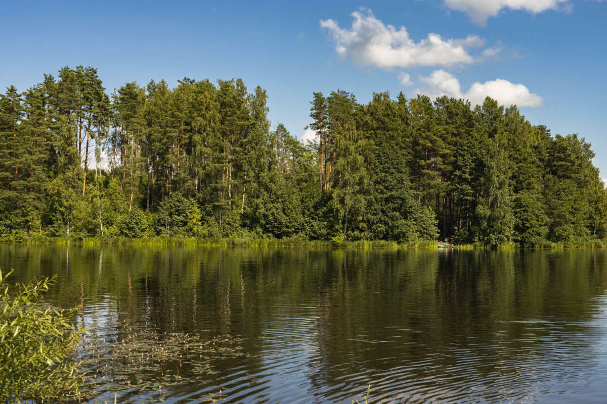 ������ ������������� ������������� ����� ���������  �� PhotoGeek.ru #������ ��� �������