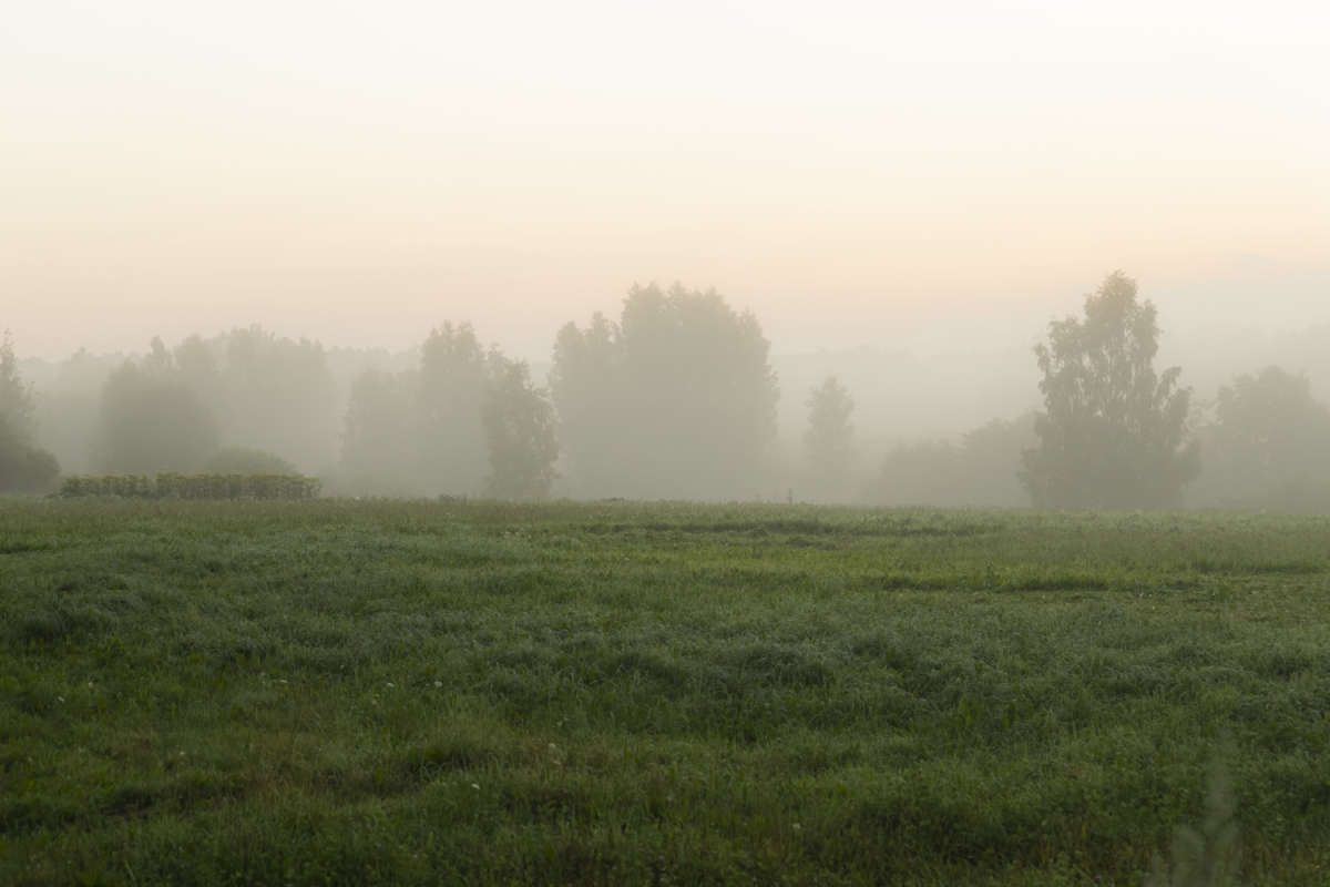 ���� ����� ���������  �� PhotoGeek.ru #������ ��� �������