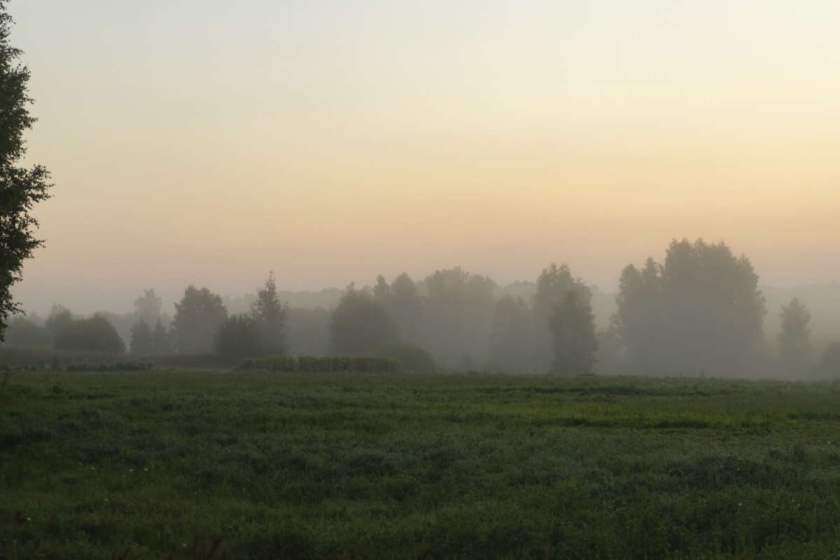 �� ������� ����� ���������  �� PhotoGeek.ru #������ ��� �������