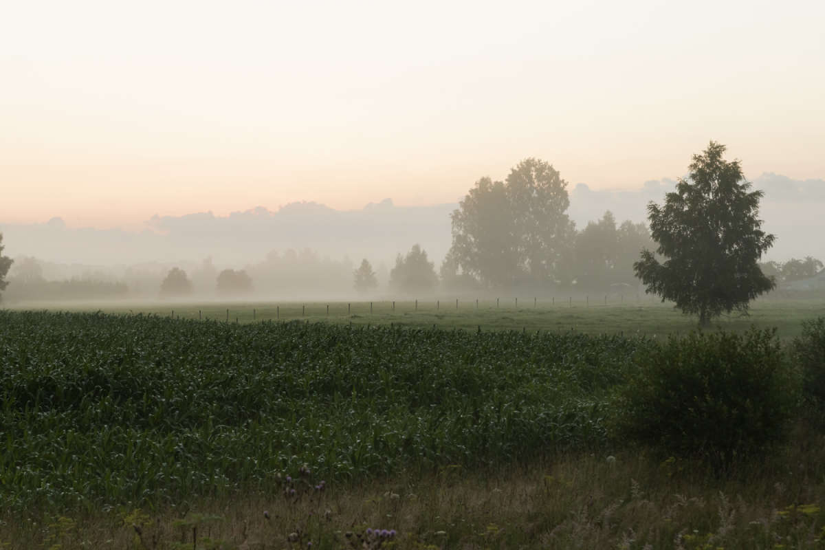 ����. ���������� ���� ����� ���������  �� PhotoGeek.ru #������ ��� �������