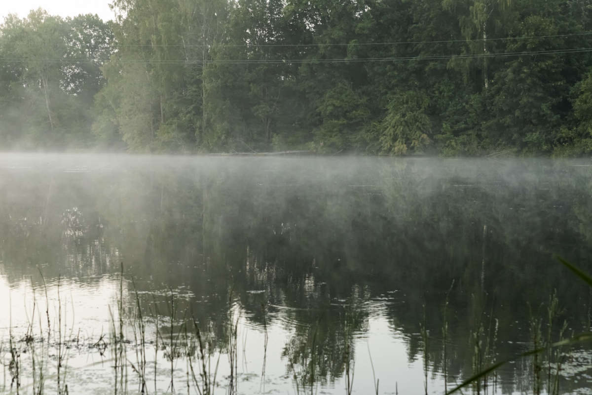 ������ ����� ���������  �� PhotoGeek.ru #������ ��� �������