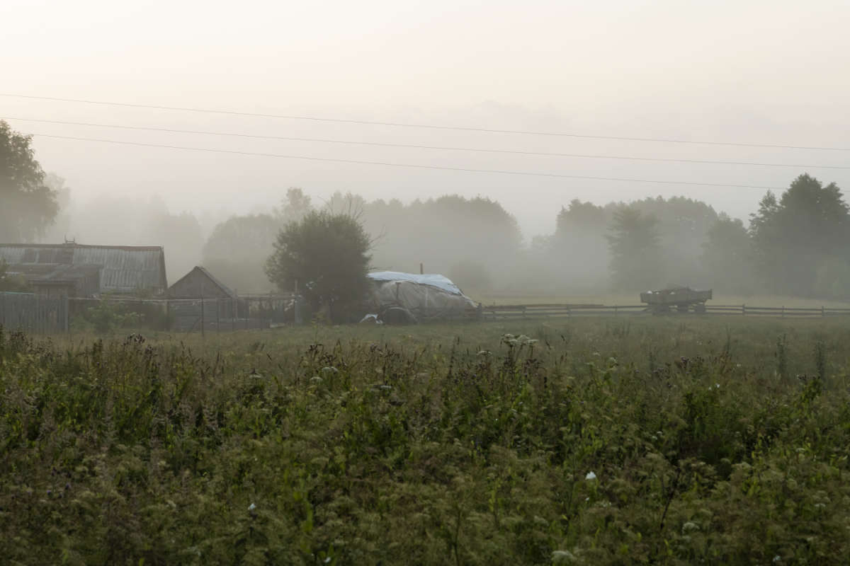 ����������� ���� ����� ���������  �� PhotoGeek.ru #������ ��� �������