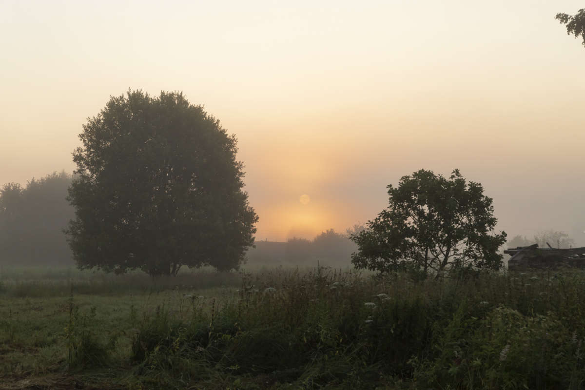 �� ������� ����� ���������  �� PhotoGeek.ru #������ ��� �������