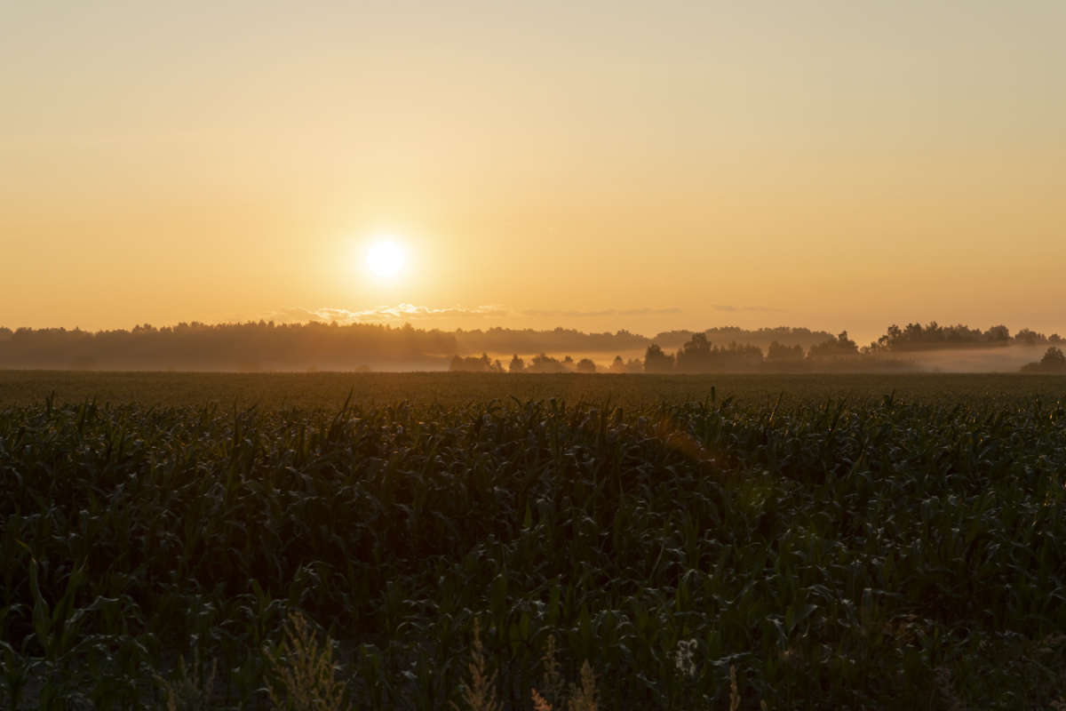 ������ ����� ���������  �� PhotoGeek.ru #������ ��� �������