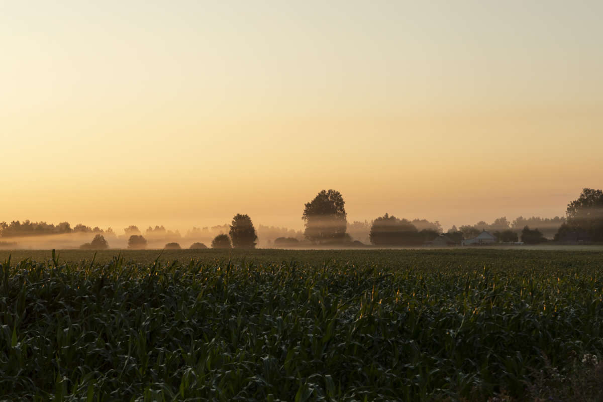 ���� ����� ���������  �� PhotoGeek.ru #������ ��� �������