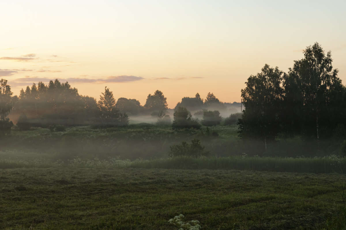 ���� ����� ���������  �� PhotoGeek.ru #������ ��� �������