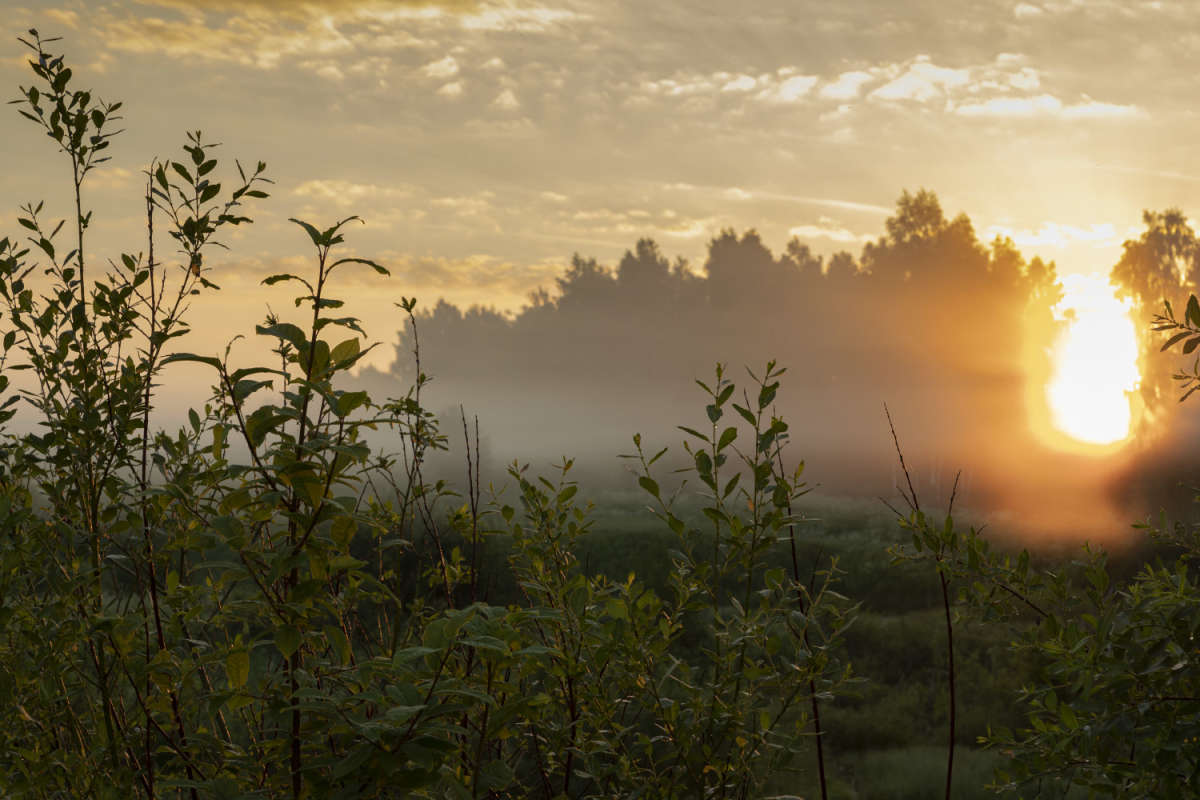 ����� ����� ���������  �� PhotoGeek.ru #������ ��� �������