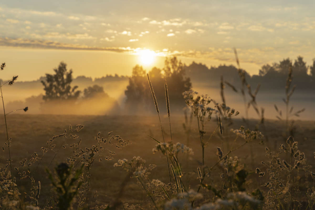 ������� ����� ���������  �� PhotoGeek.ru #������ ��� �������