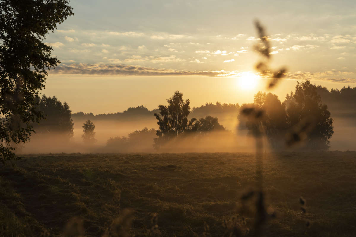 ����. ����. ����� ���������  �� PhotoGeek.ru #������ ��� �������