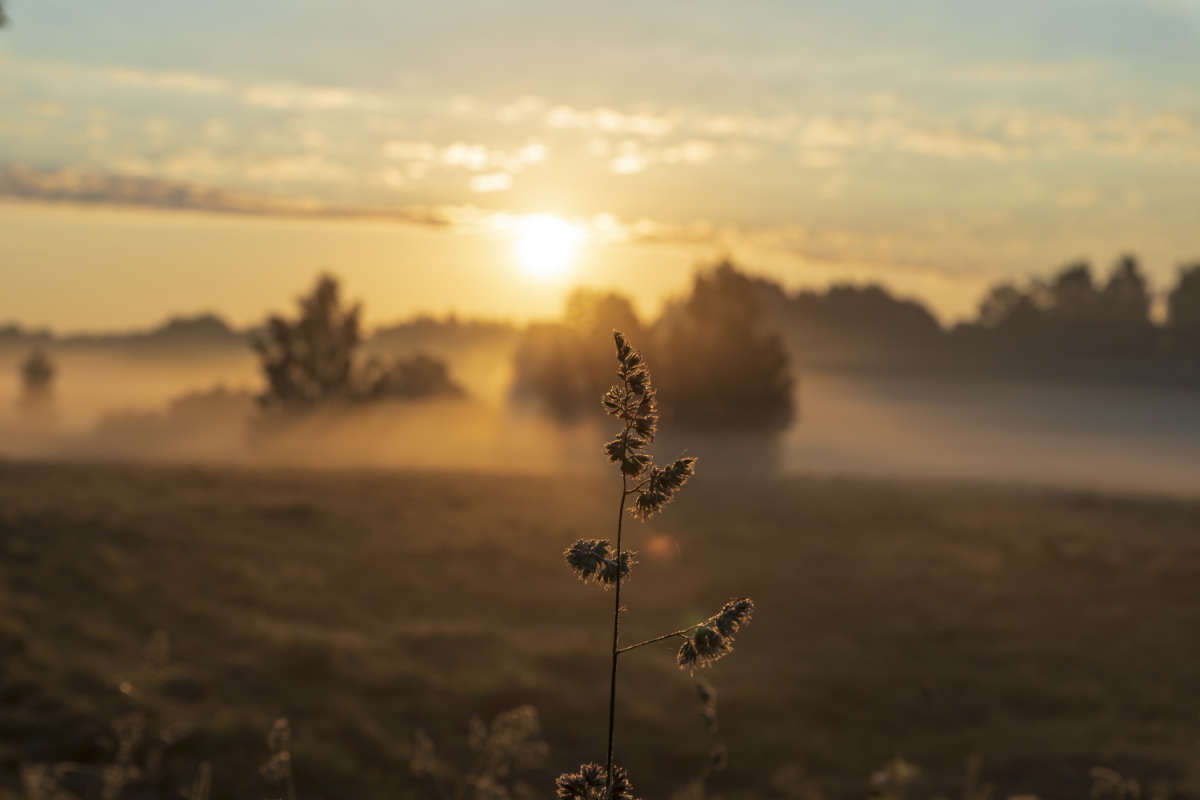 �������� ����� ���������  �� PhotoGeek.ru #������ ��� �������