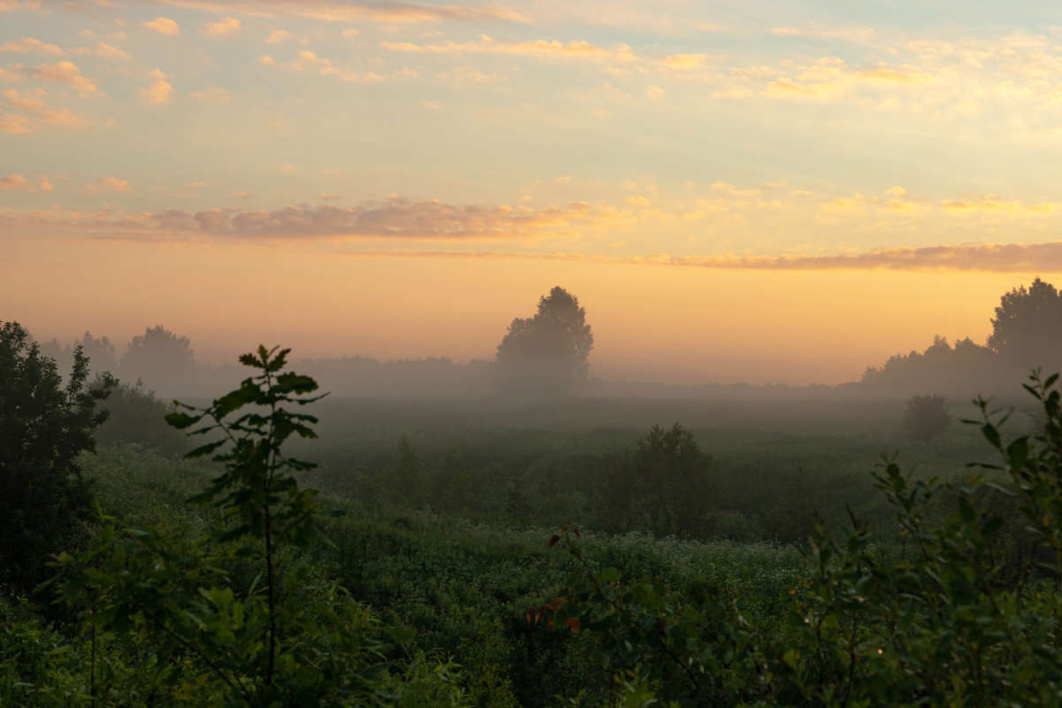 ���� ����� ���������  �� PhotoGeek.ru #������ ��� �������