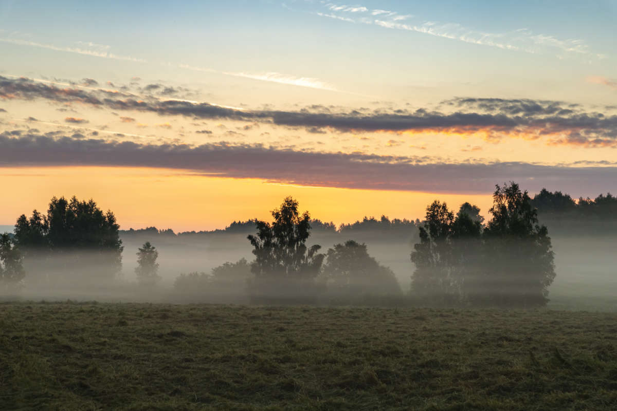 ����� ����� ���������  �� PhotoGeek.ru #������ ��� �������