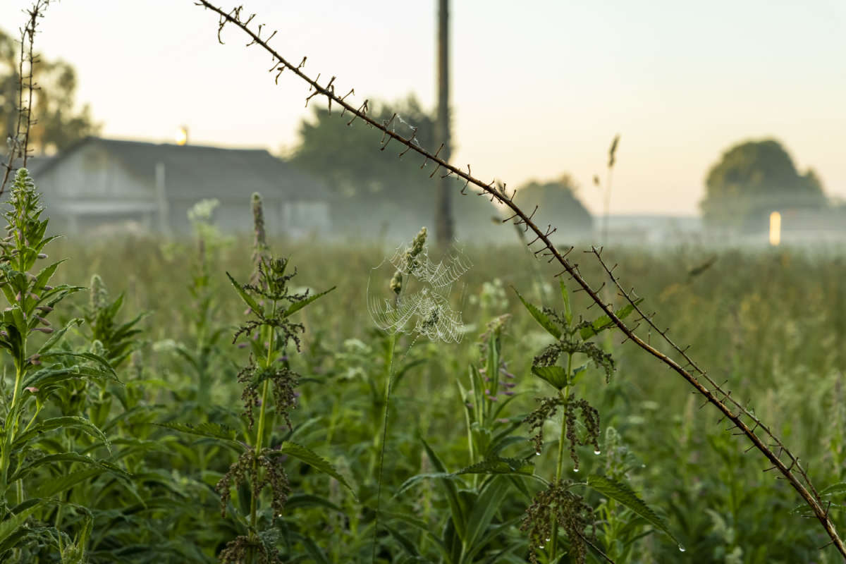 ����� ����� ���������  �� PhotoGeek.ru #������ ��� �������