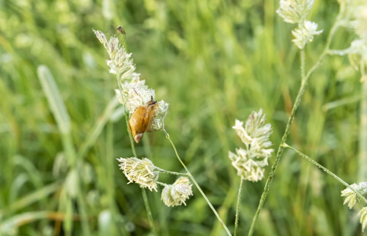 � ����� ����� ���������  �� PhotoGeek.ru #������ ��� �������