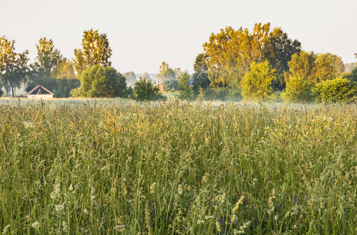 �� ���� ����� ���������  �� PhotoGeek.ru #������ ��� �������