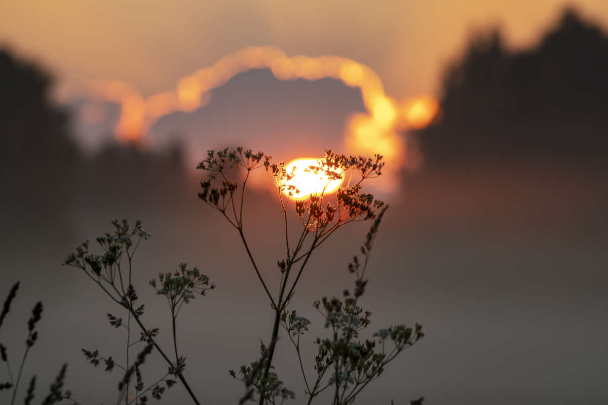 ���������� ����� ���������  �� PhotoGeek.ru #������ ��� �������