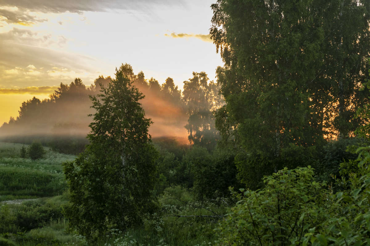 ���� ����� ����� ���������  �� PhotoGeek.ru #������ ��� �������