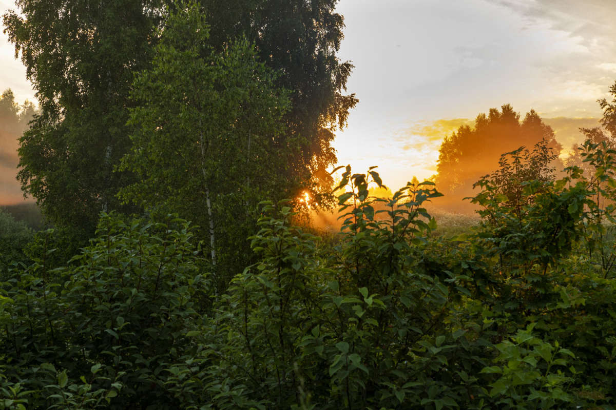 ���� ����� ���������  �� PhotoGeek.ru #������ ��� �������