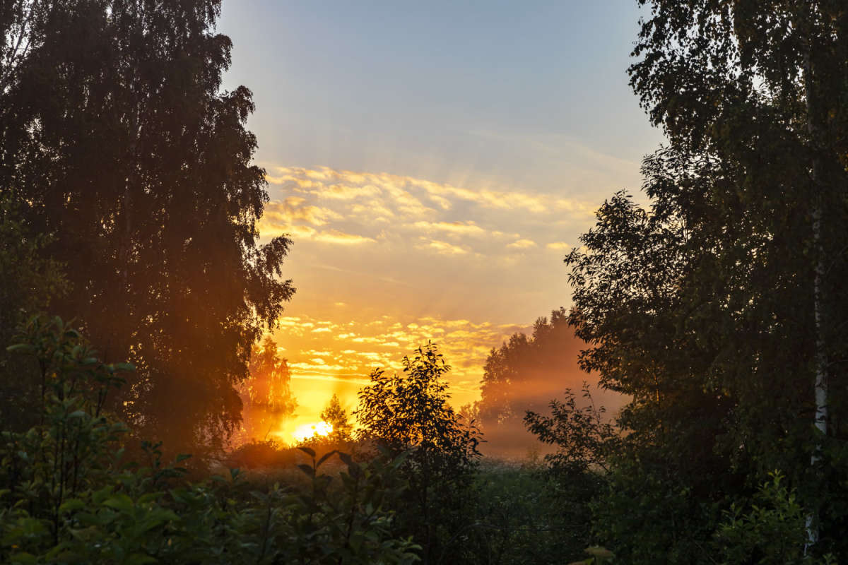 �� ������� ����� ���������  �� PhotoGeek.ru #������ ��� �������