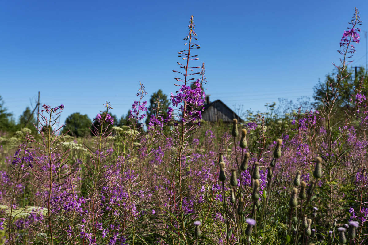 ���� ����� ���������  �� PhotoGeek.ru #������ ��� �������