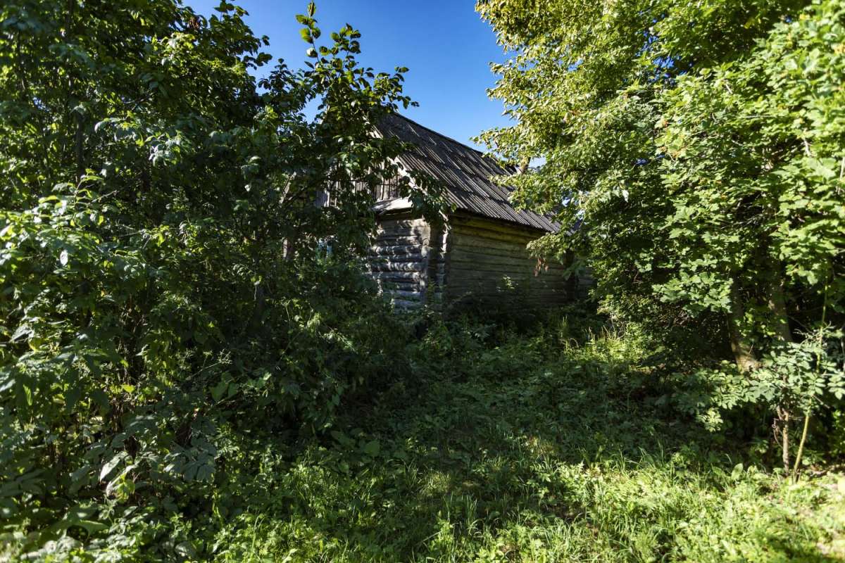 � ������� ����� ���������  �� PhotoGeek.ru #������ ��� �������