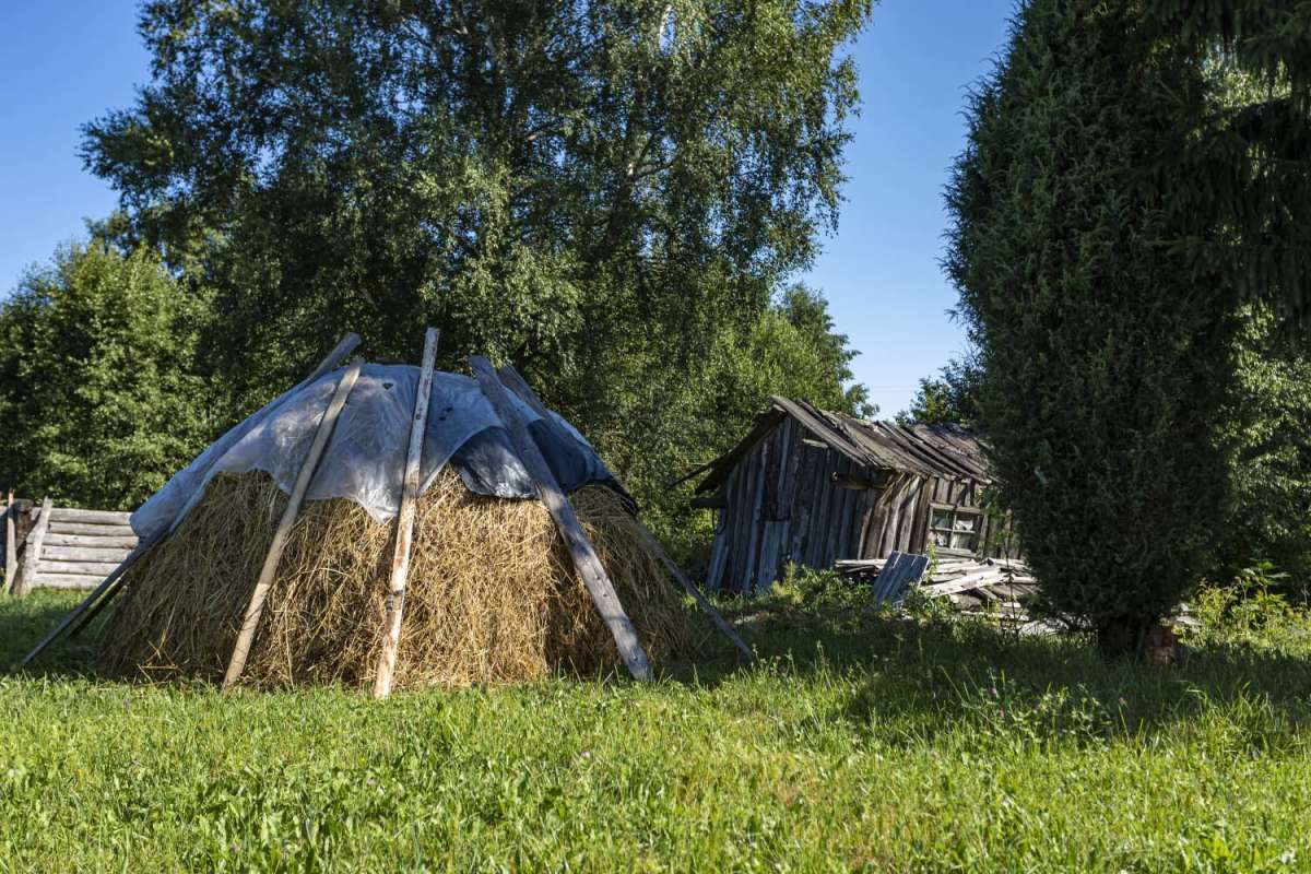 ������ ����� ���������  �� PhotoGeek.ru #������ ��� �������