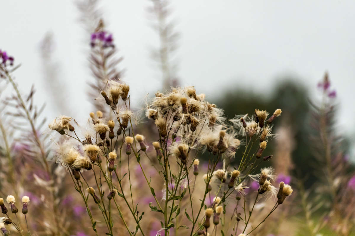 ��������� ����� ���������  �� PhotoGeek.ru #������ ��� �������