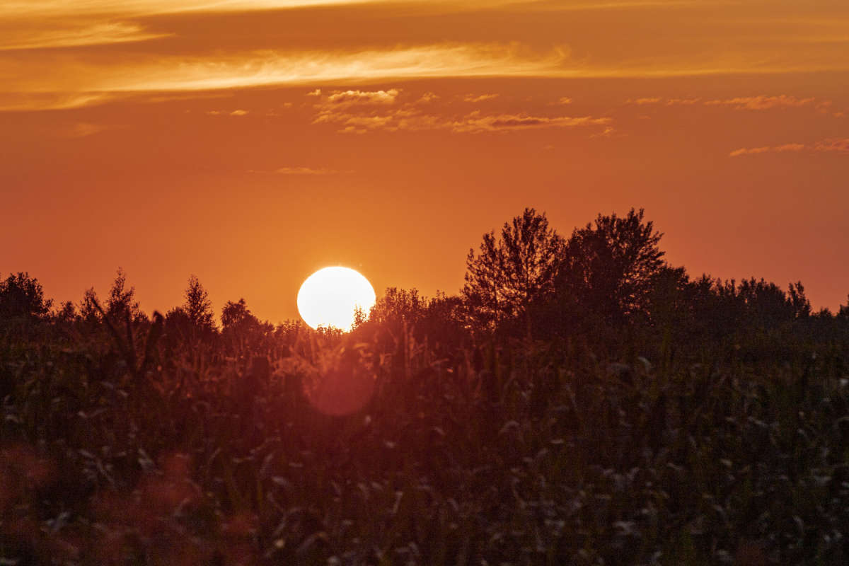 �� ������� ����� ���������  �� PhotoGeek.ru #������ ��� �������