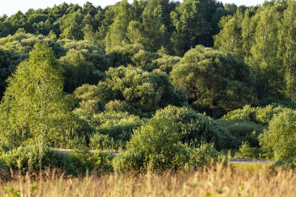 � ������ ����� ���������  �� PhotoGeek.ru #������ ��� �������