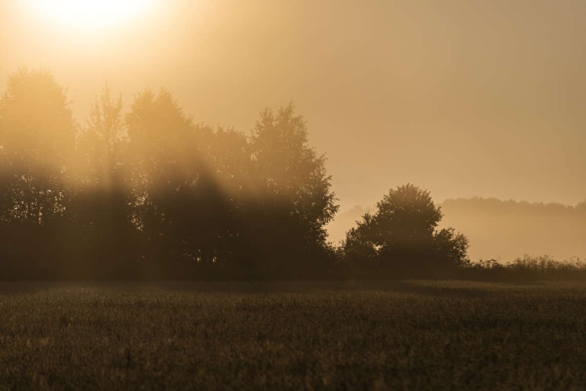 ������ � ����� ����� ���������  �� PhotoGeek.ru #������ ��� �������