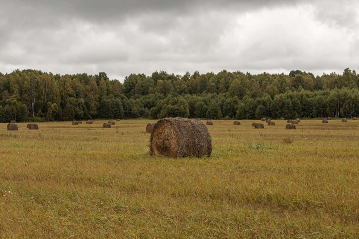 �������� ���� ����� ���������  �� PhotoGeek.ru #������ ��� �������