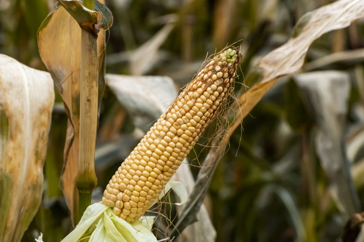 ���������� �������� ����� ���������  �� PhotoGeek.ru #������ ��� �������