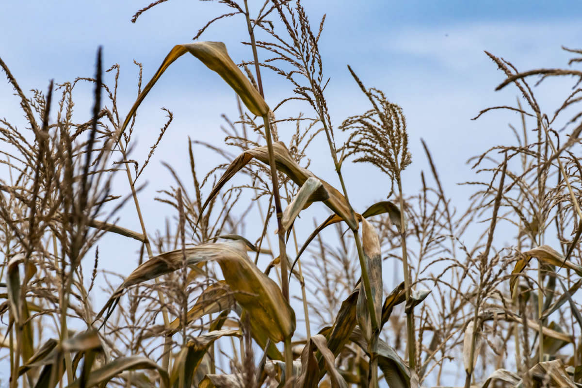 �������� ����� ���������  �� PhotoGeek.ru #������ ��� �������