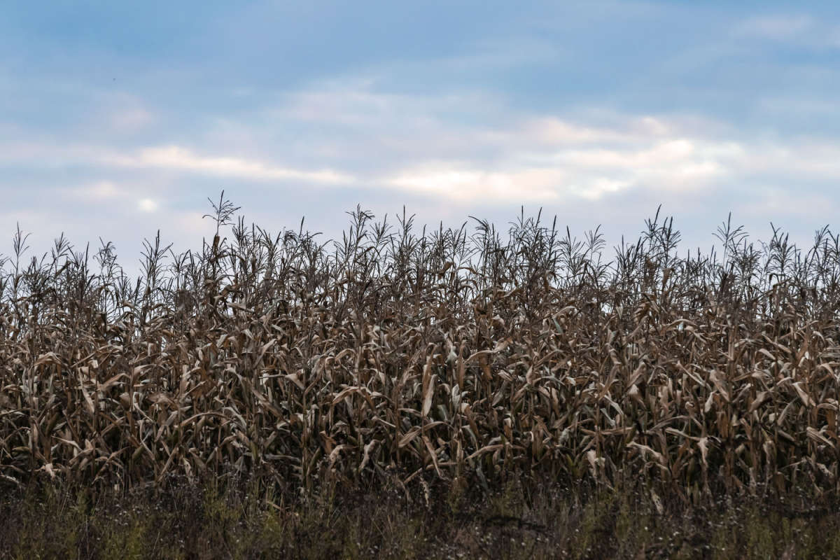 ������ ����� �������� ����� ���������  �� PhotoGeek.ru #������ ��� �������