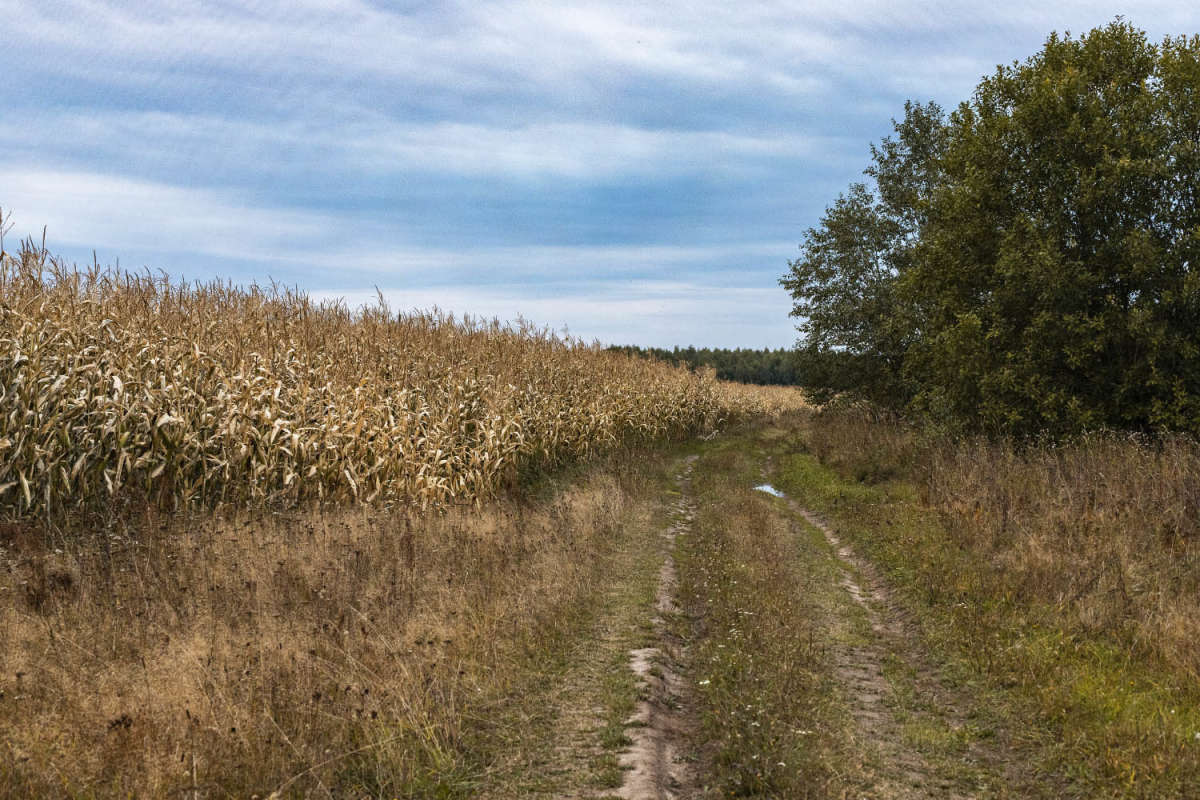 �� ������ ����� ���������  �� PhotoGeek.ru #������ ��� �������