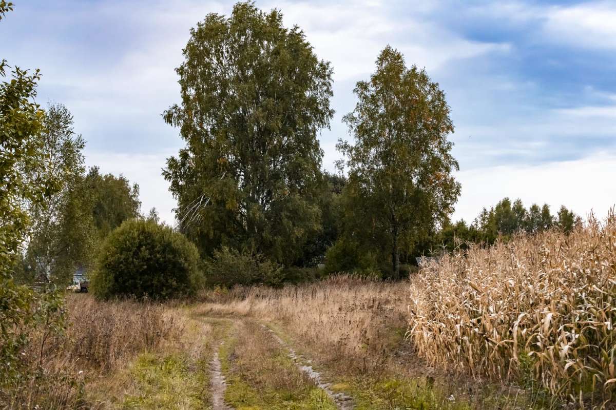 �������� ����� ���������  �� PhotoGeek.ru #������ ��� �������