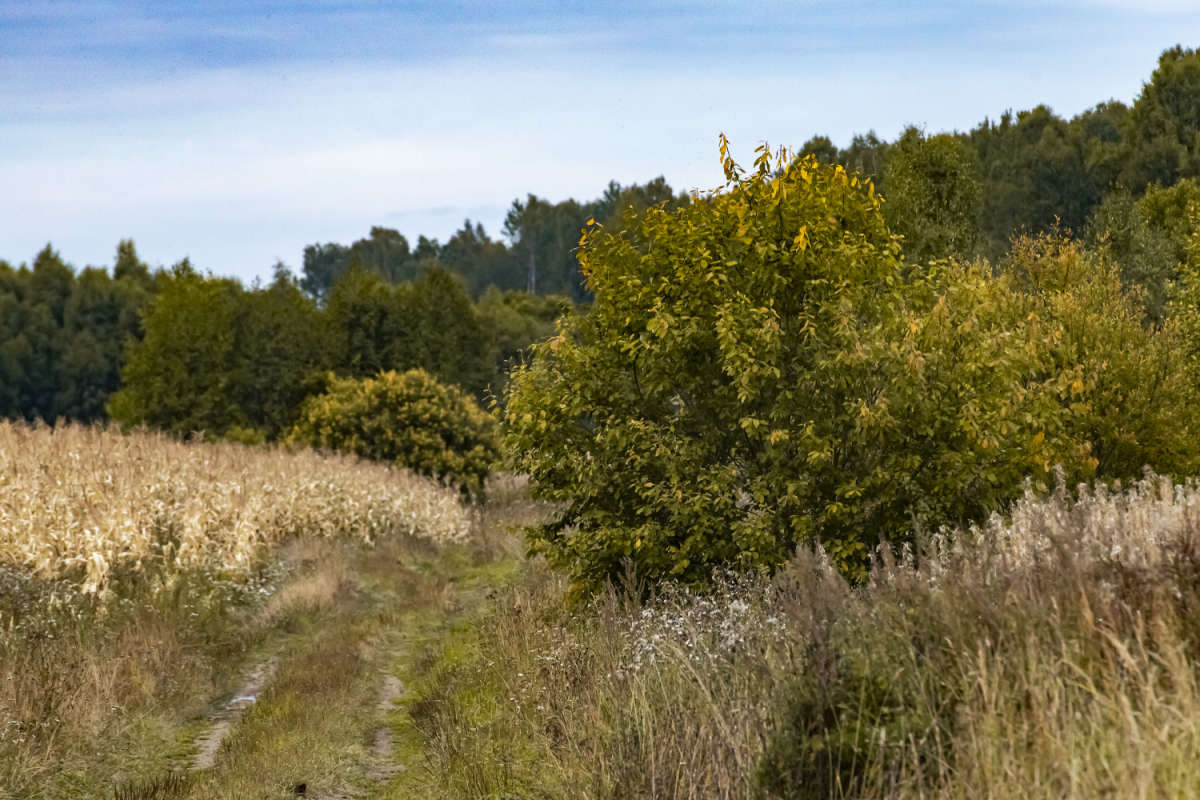 �� �������� ����� ���������  �� PhotoGeek.ru #������ ��� �������