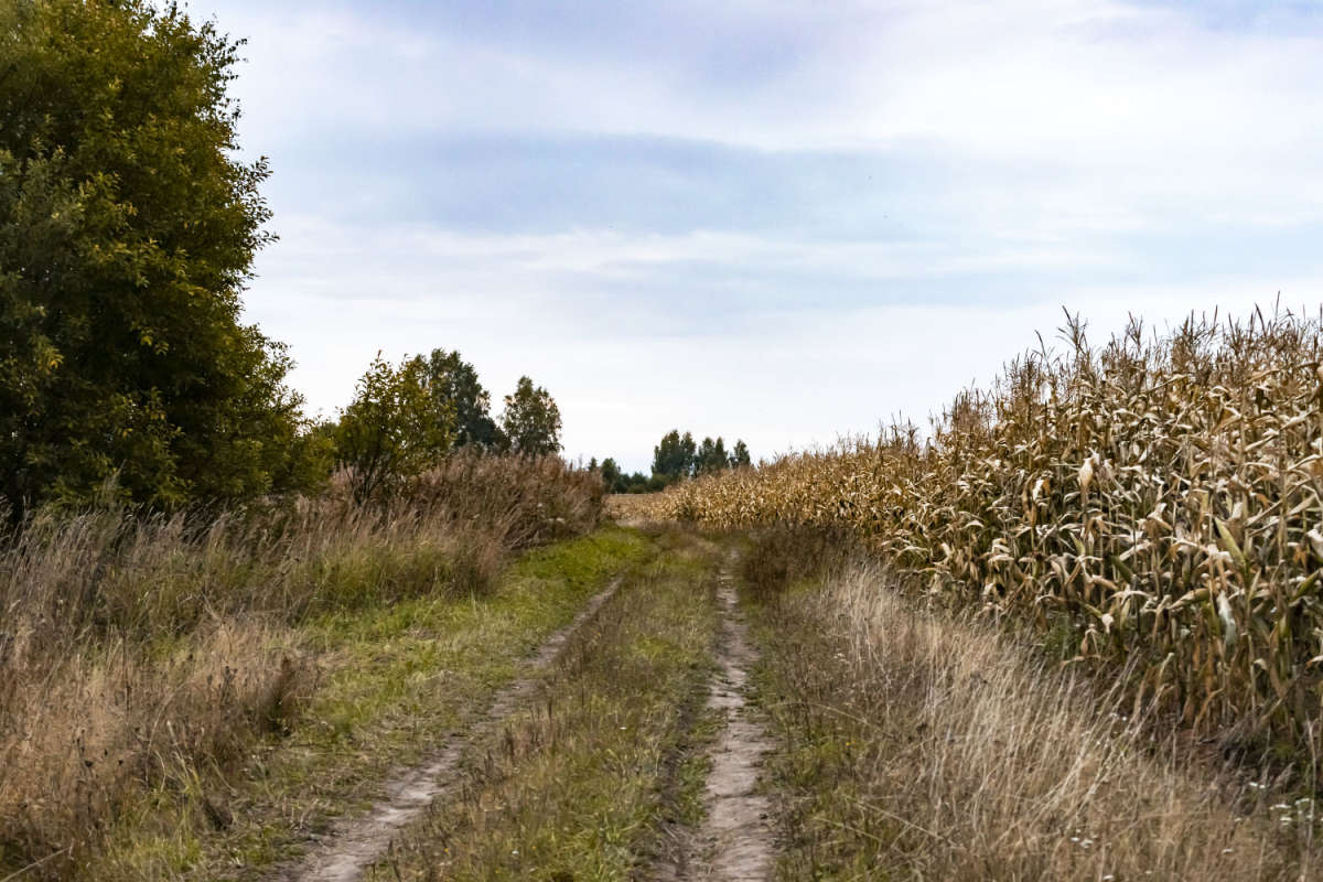 �������� ������ ����� ���������  �� PhotoGeek.ru #������ ��� �������