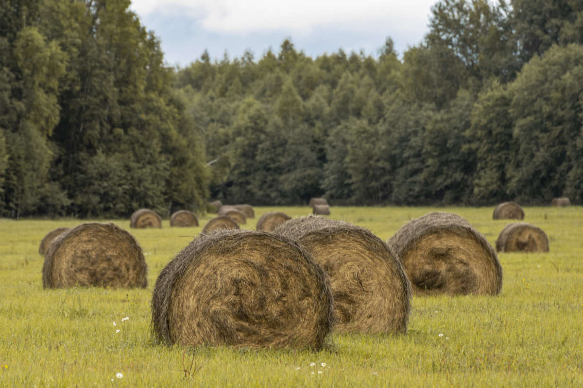 ��������� ����� ���������  �� PhotoGeek.ru #������ ��� �������