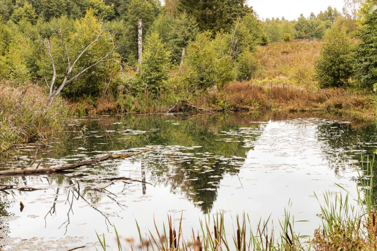 ������� ���� ����� ���������  �� PhotoGeek.ru #������ ��� �������