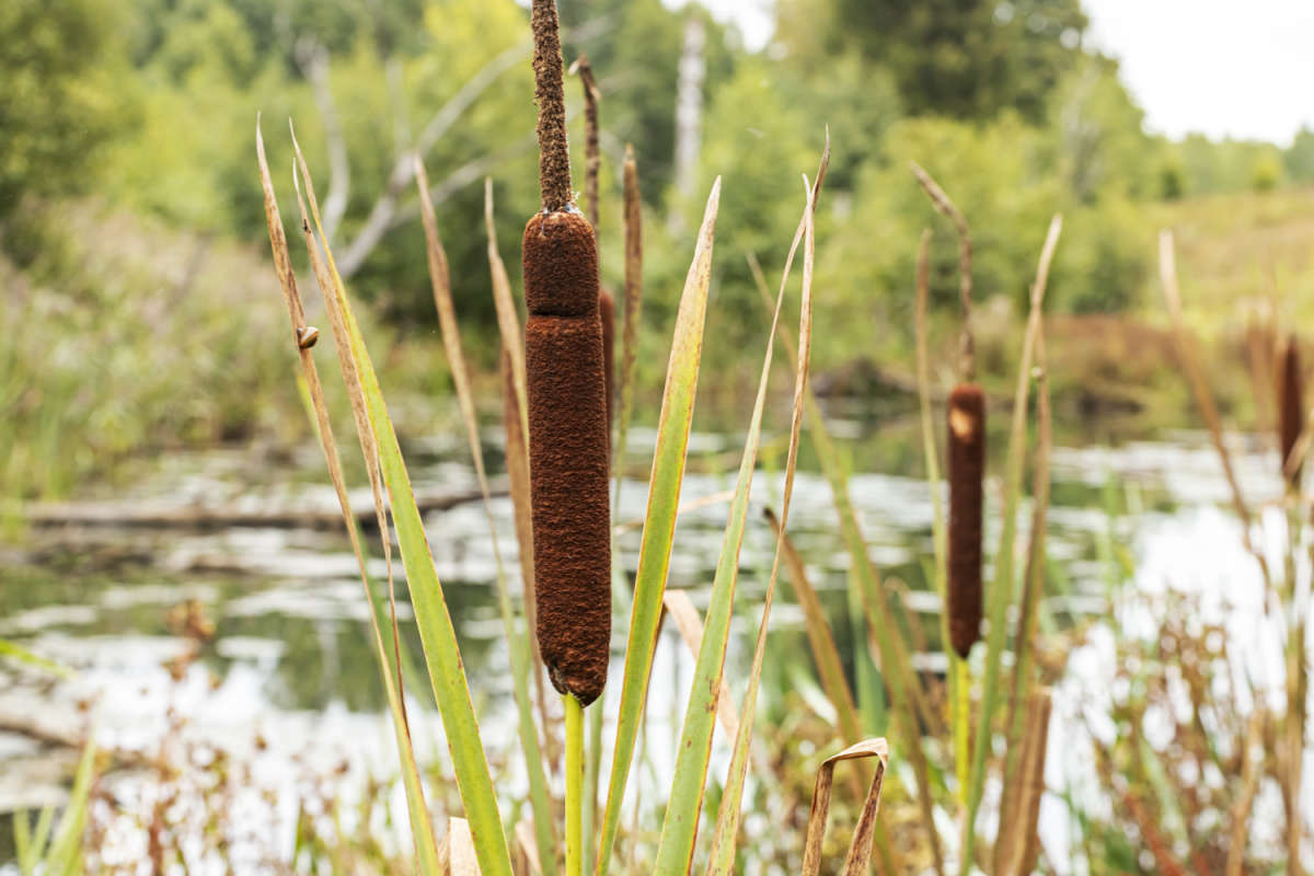 �� ������ ����� ����� ���������  �� PhotoGeek.ru #������ ��� �������