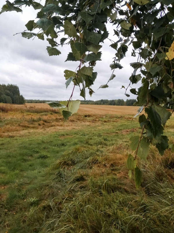 � ���� ����� ���������  �� PhotoGeek.ru #������ ��� �������