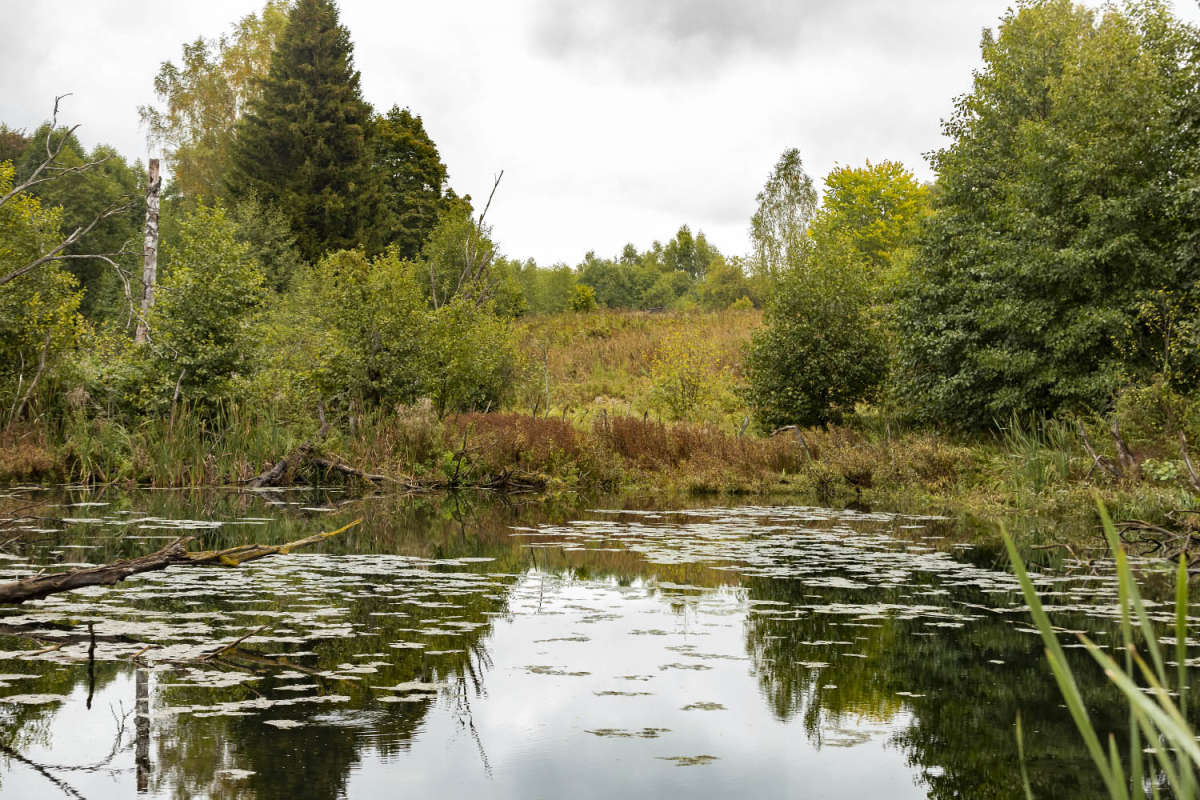 ����� ����� ���������  �� PhotoGeek.ru #������ ��� �������