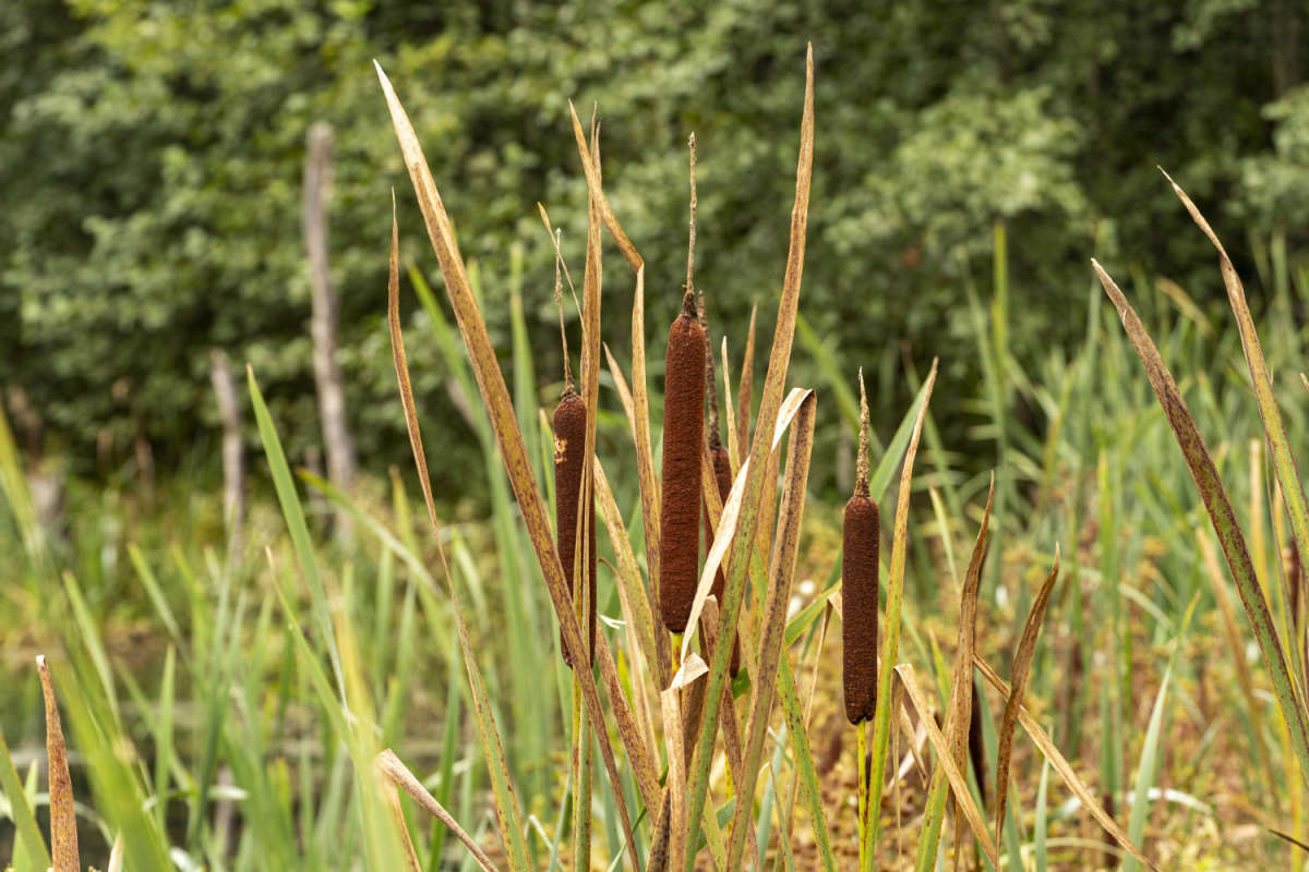 ����� ����� ���������  �� PhotoGeek.ru #������ ��� �������