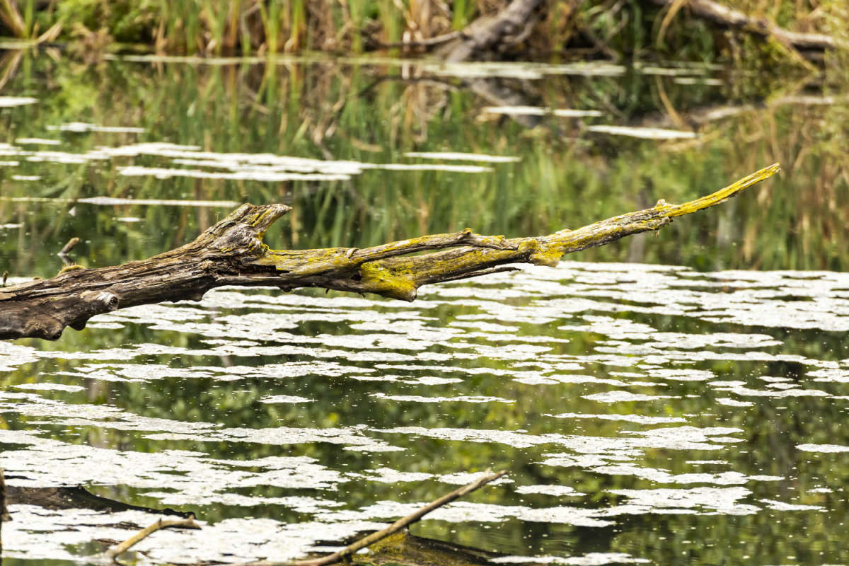 ������ ����� ���������  �� PhotoGeek.ru #������ ��� �������