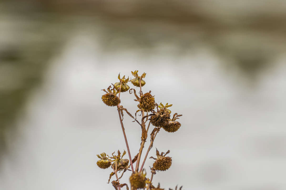 � ���� ����� ���������  �� PhotoGeek.ru #������ ��� �������